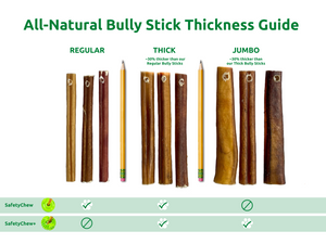 SafetyChew Bully Stick Holder Starter Pack - Bully Stick SafetyChew